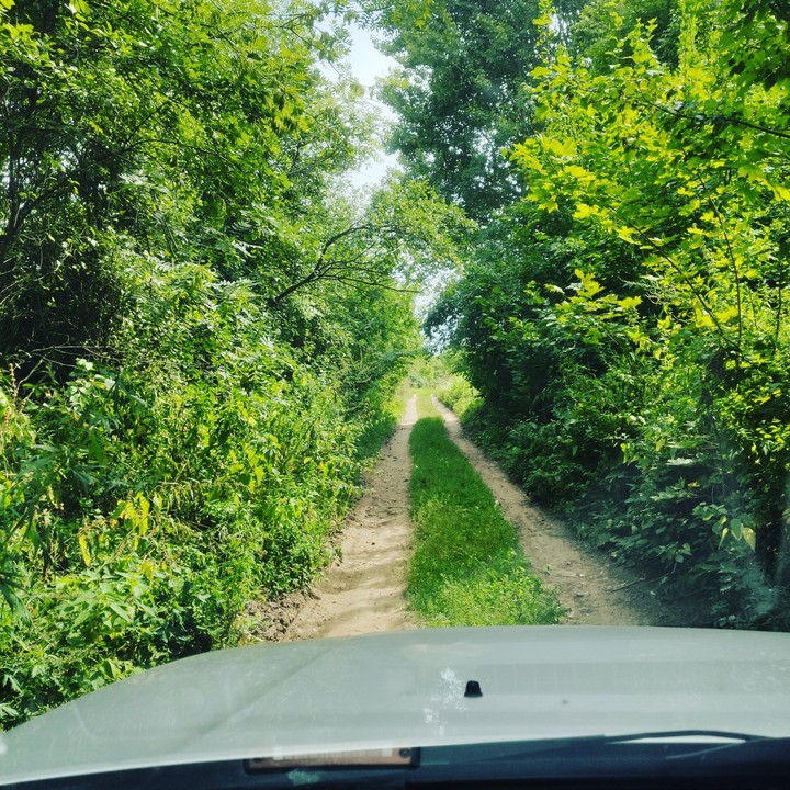 on the way