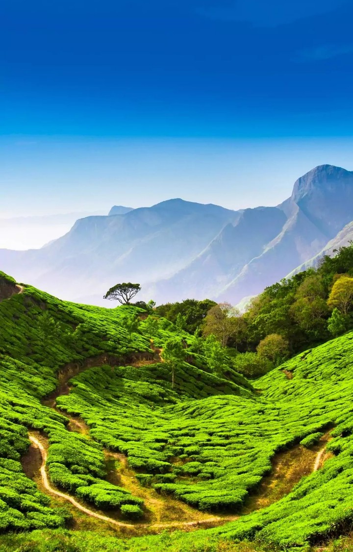 Hill Station