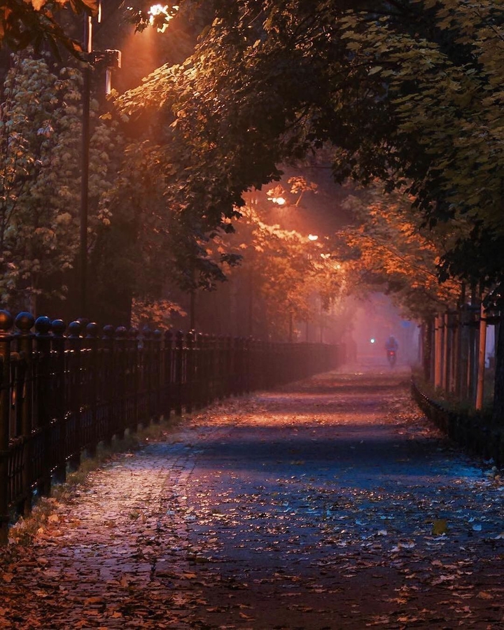 gece yürüyüşü