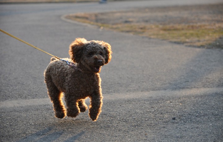 Jump!