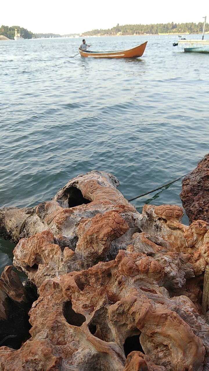 sea