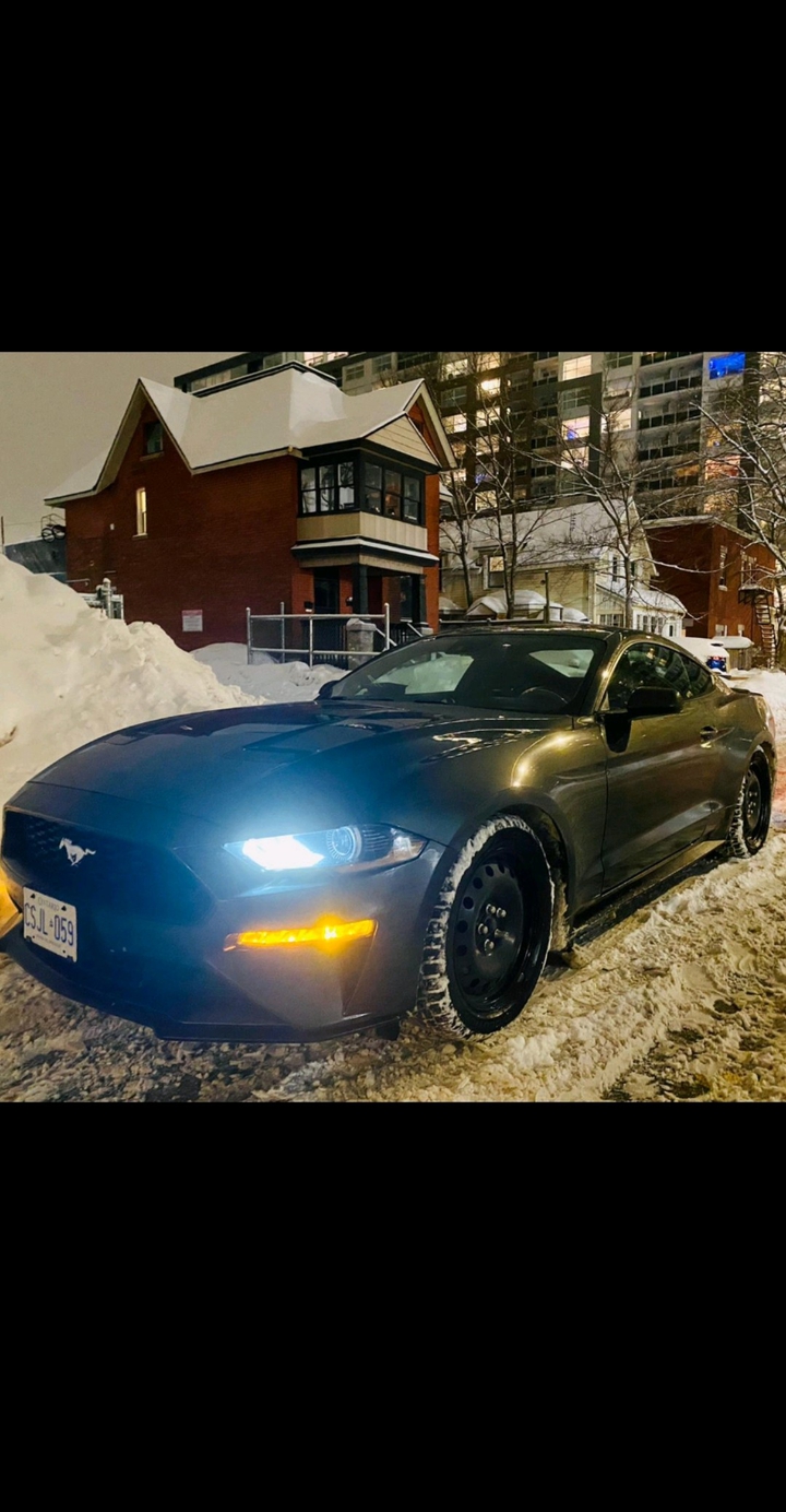 ford Mustang