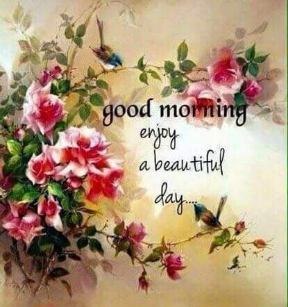 good morning