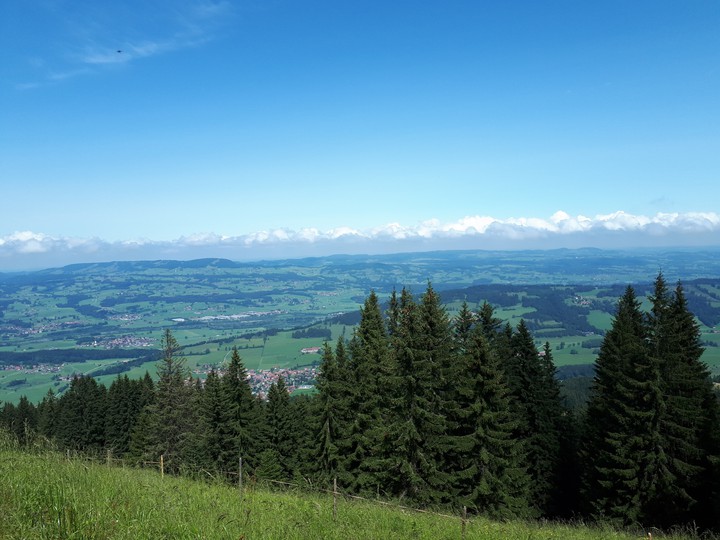 bayern
