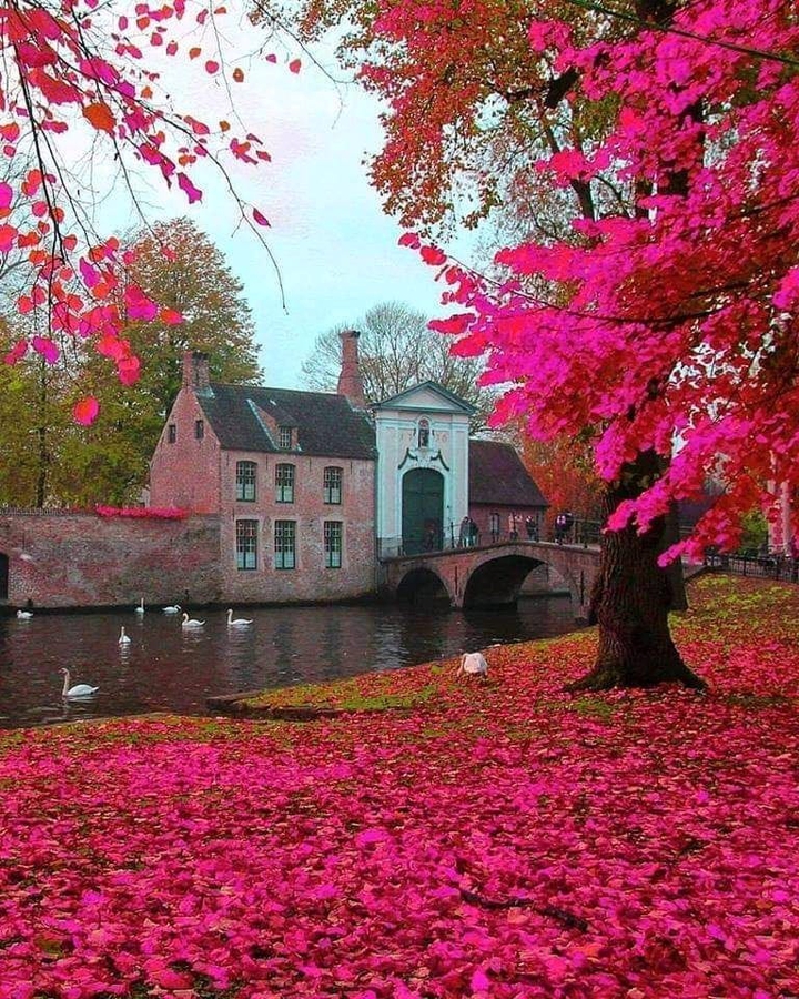 Fresh Air (Nature)
