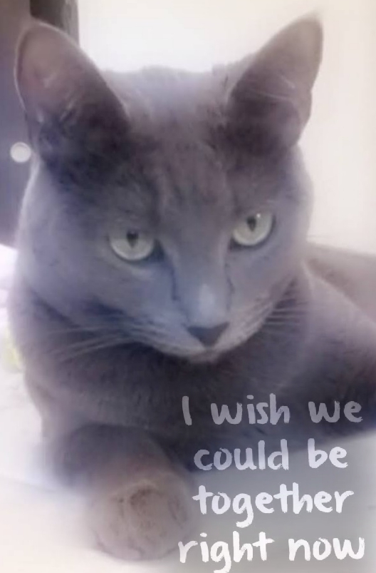 missing you