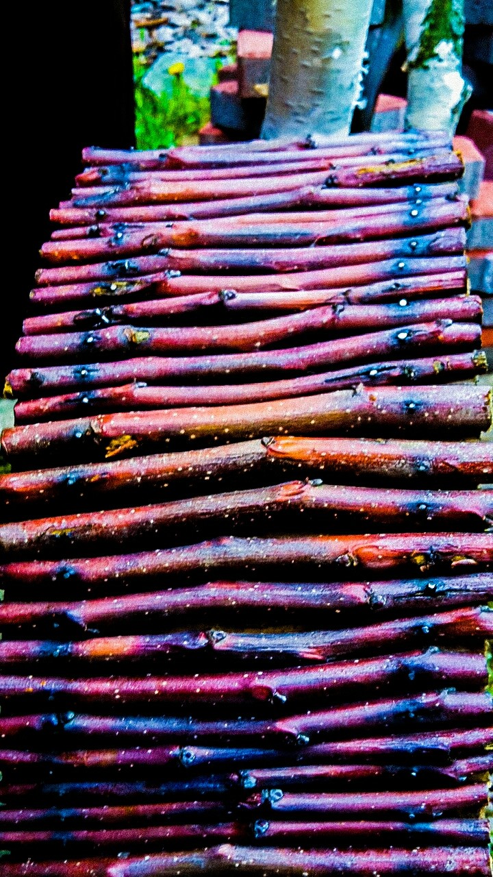 Color twigs