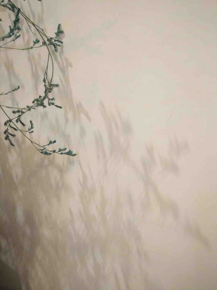 shadow