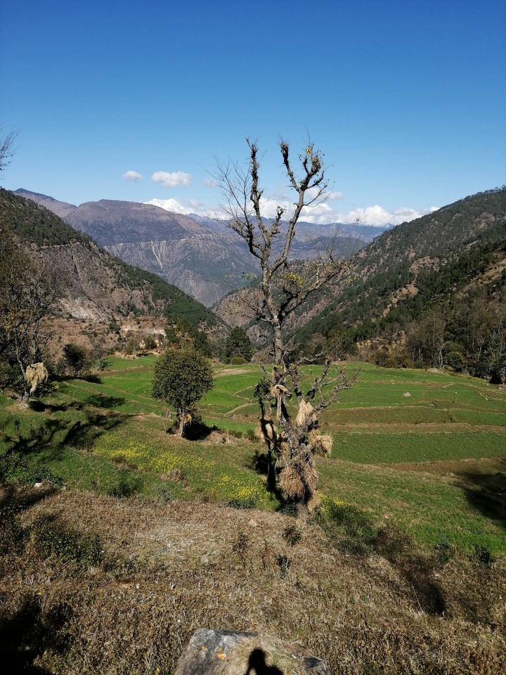uttrakhand ?