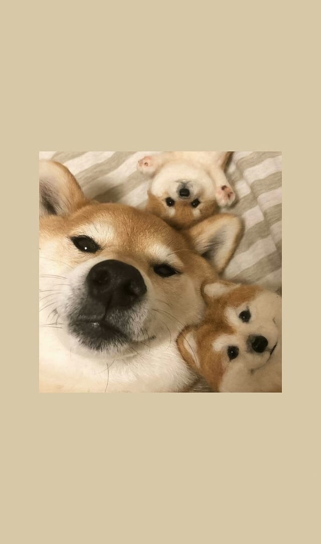 ?