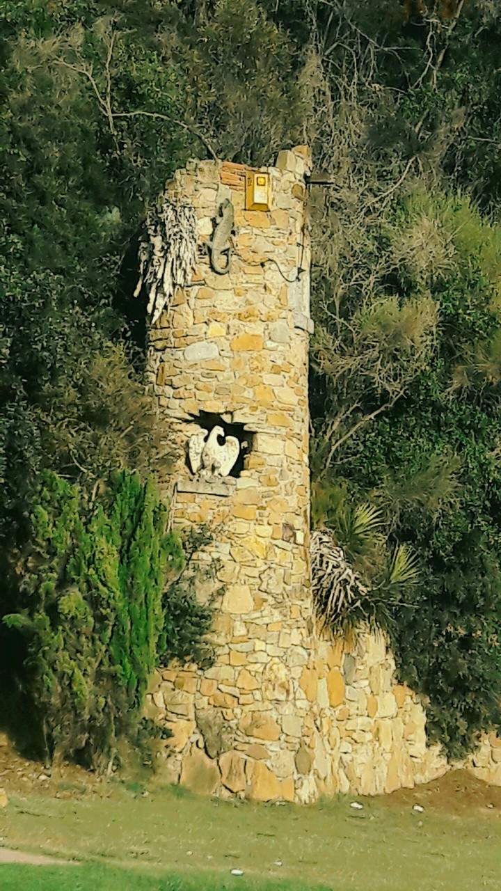 la torre de la playa