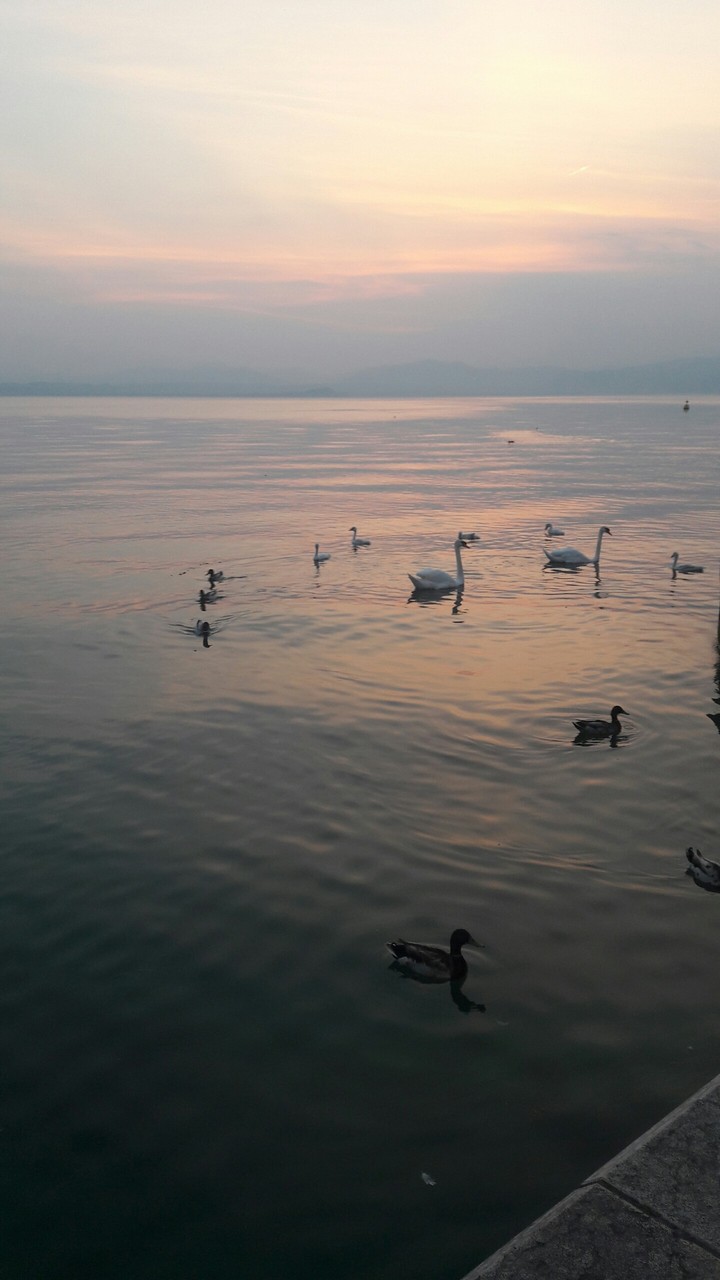 Gardasee