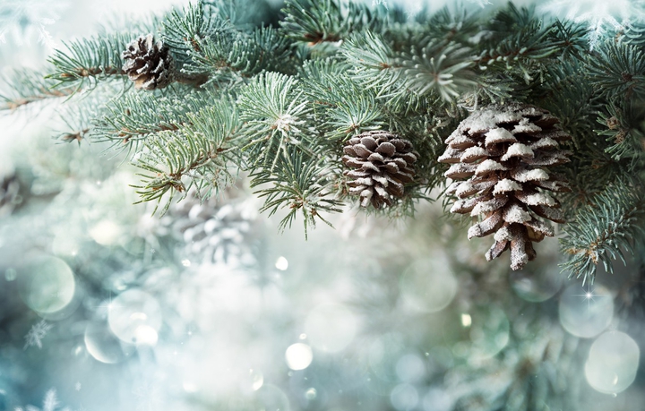 LITTLE WINTER TREASURES