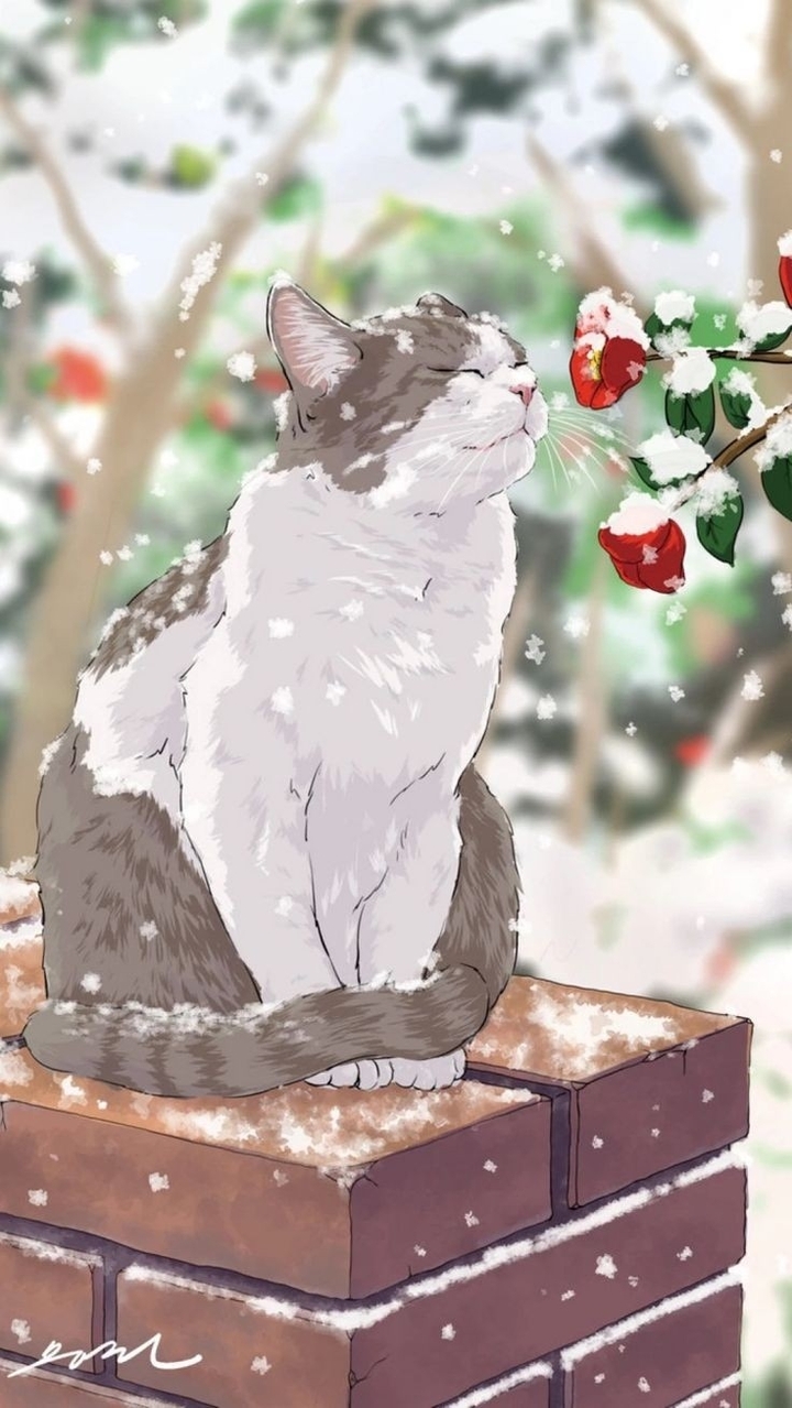 Neko