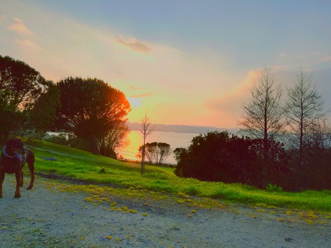 sunset