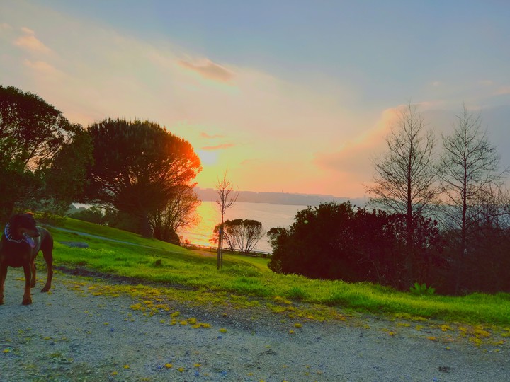 sunset