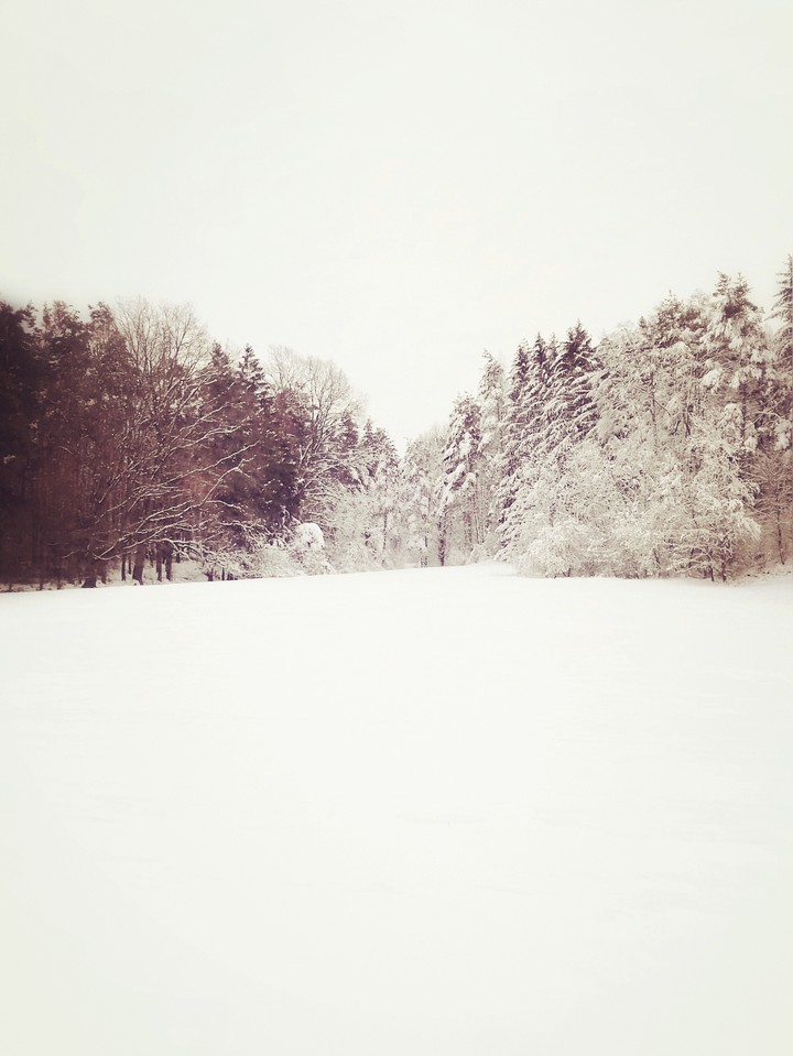 winter❄️