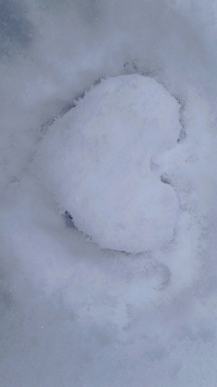 сердце