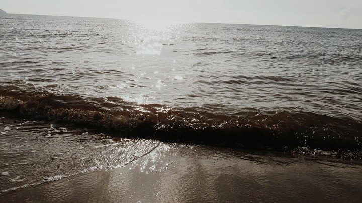 Meer