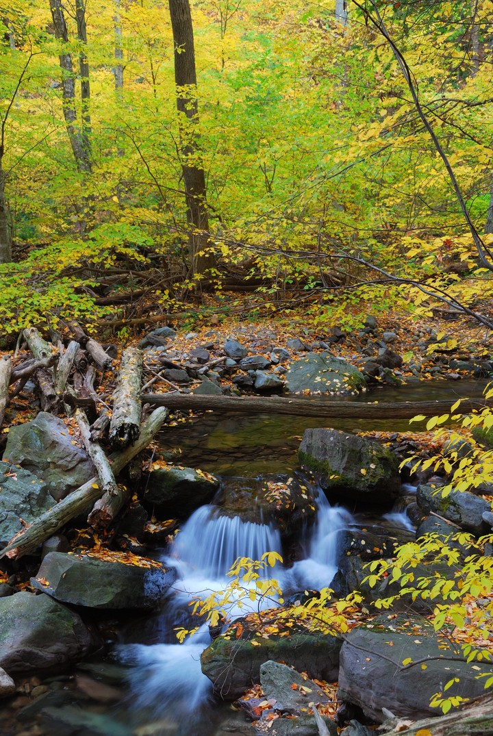 ταπετσαρίες stream, watercourse