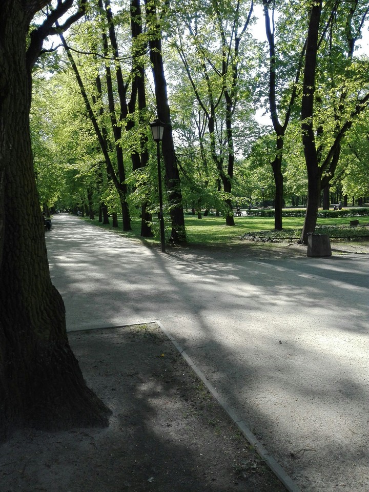 Park