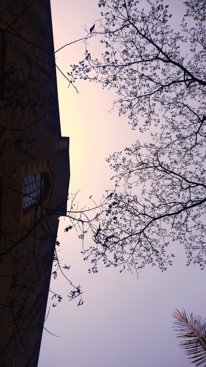 what if building could feel?