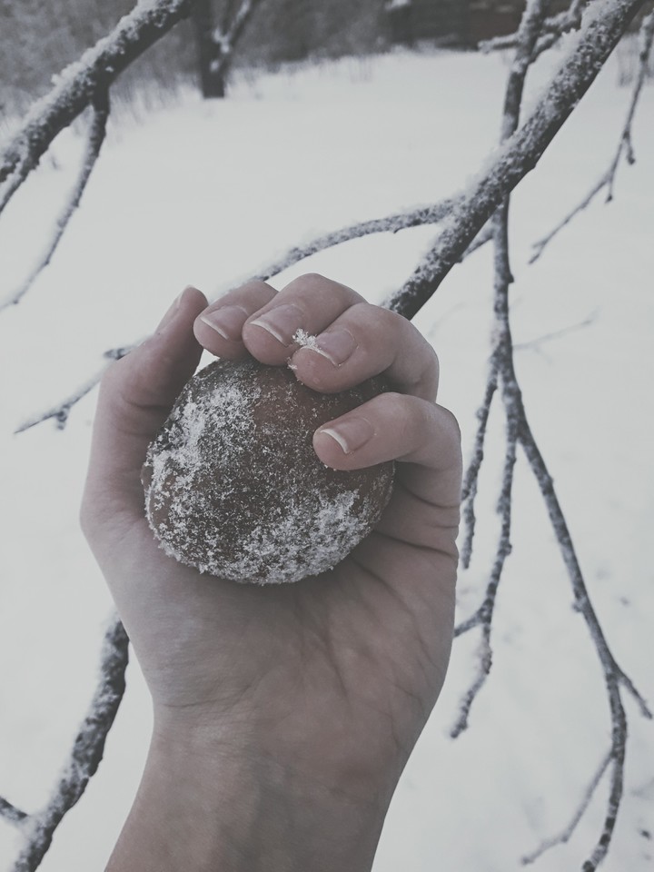 Apple for Snow White...