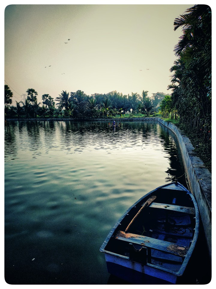 Mobile snaps