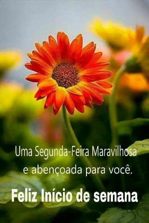 Aos meus queridos amigos do coração bjs.