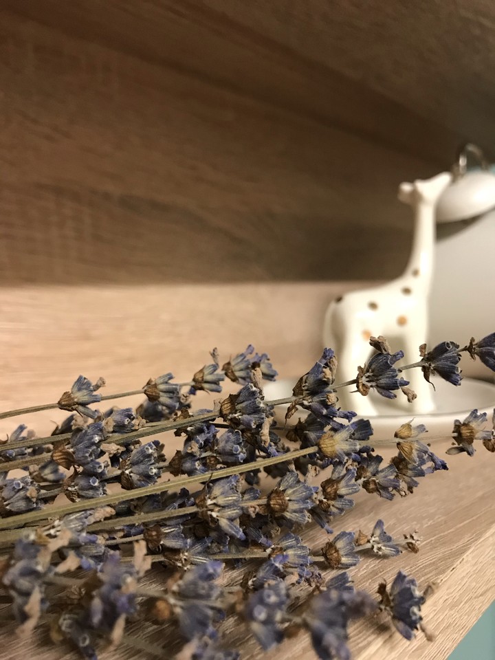 Lavender