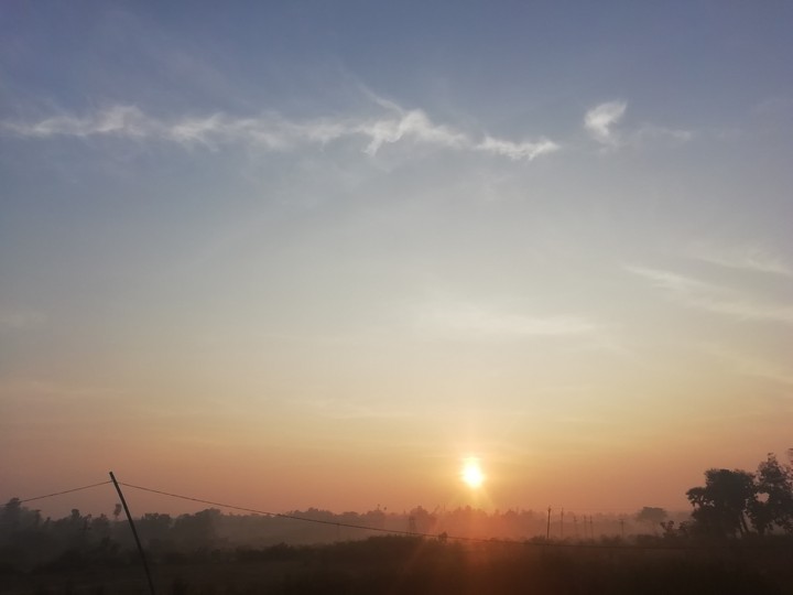 melodious mornings
