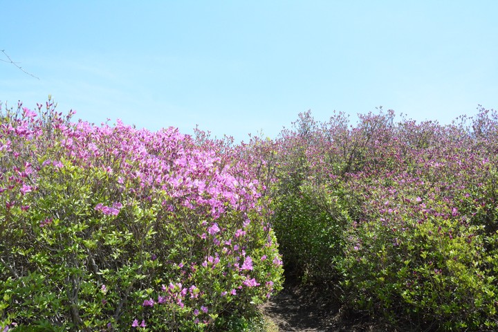 지리산이미지