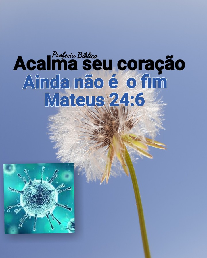 PROFECIA BÍBLICA
