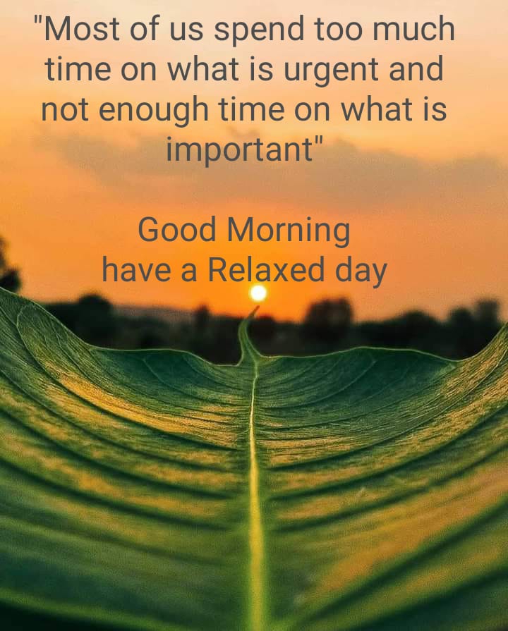 good morning ?