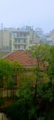 Rainy Day!