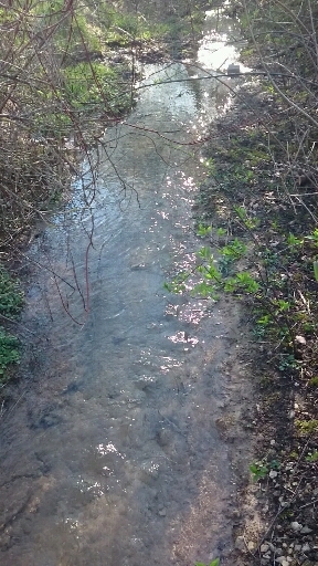 Wasser