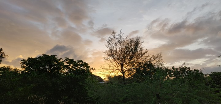 Evening time sun light