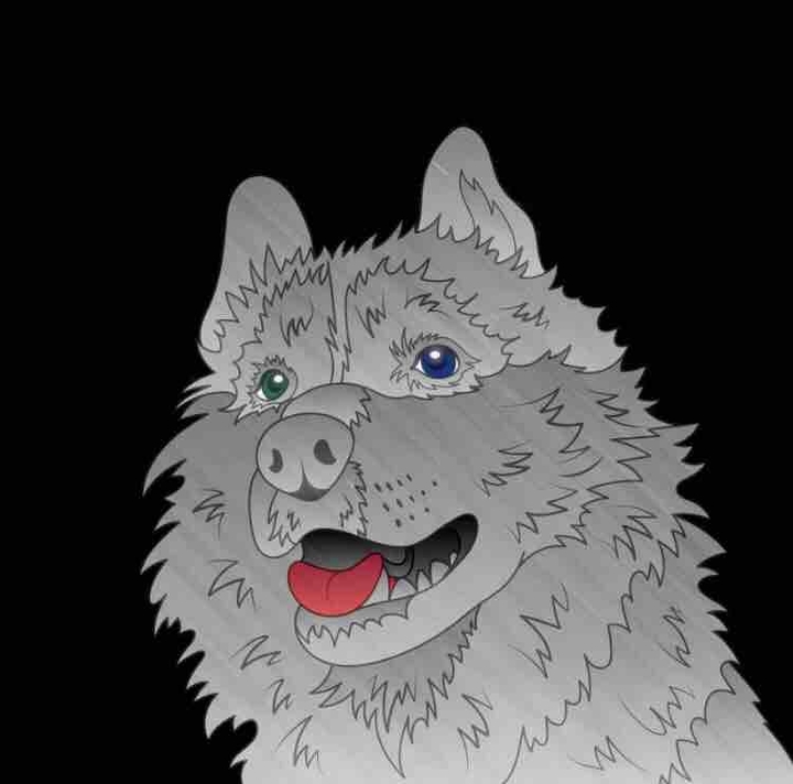 husky