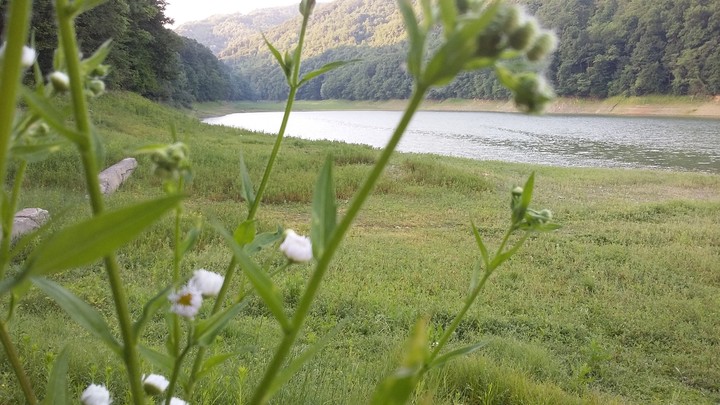 GROSNICA LIKE SERBIA