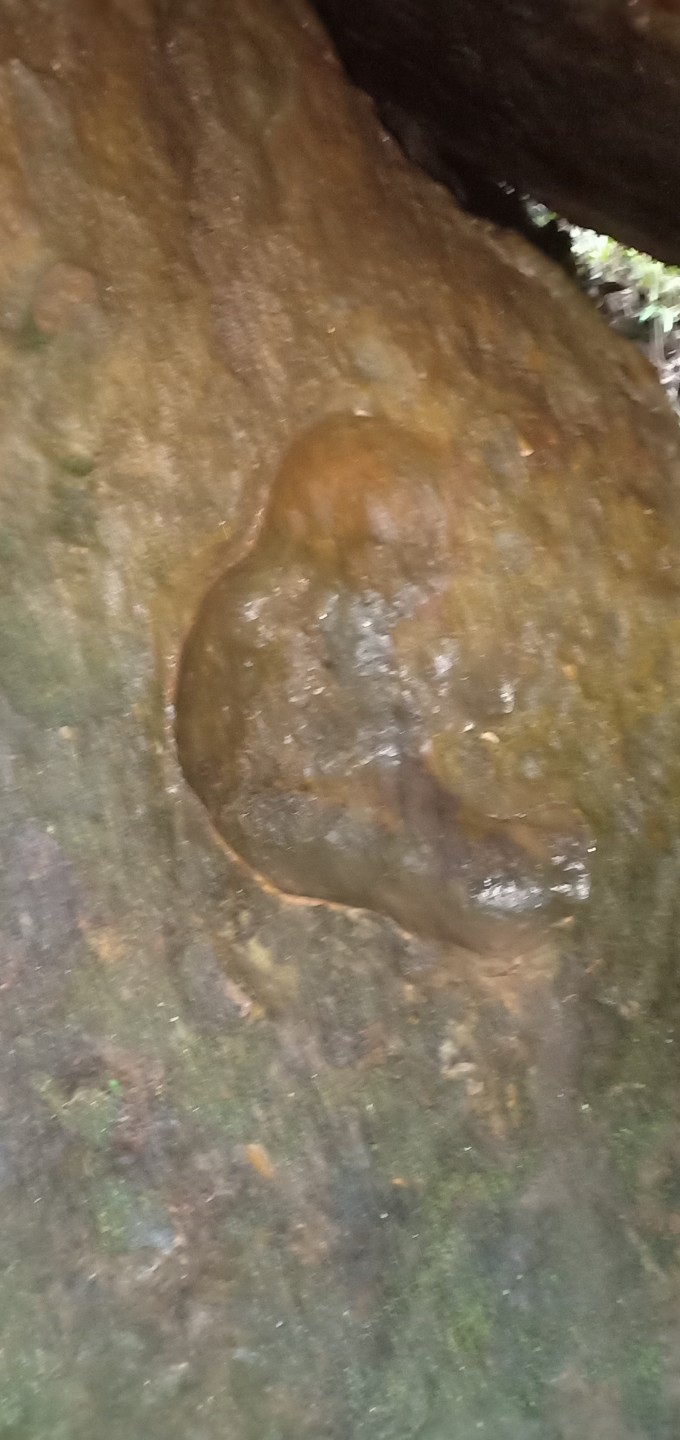 The foetus on the wall