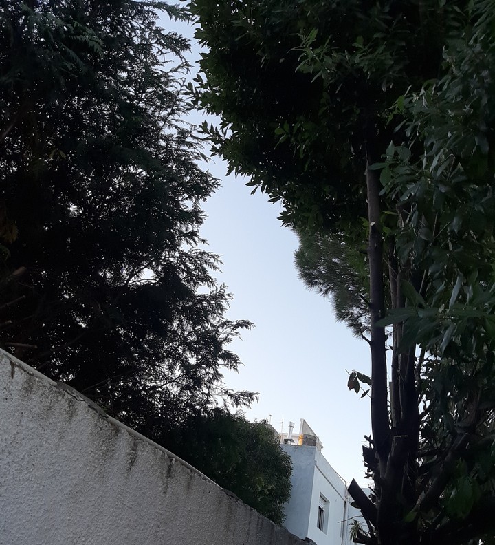 Trocito de Cielo