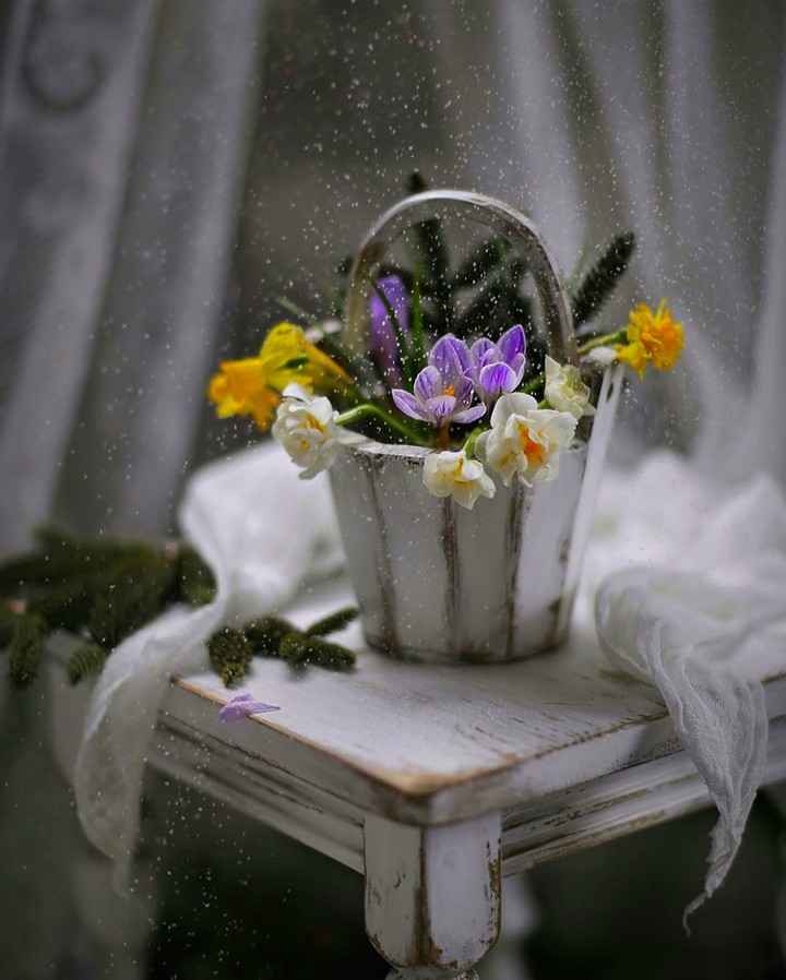 Stilllife
