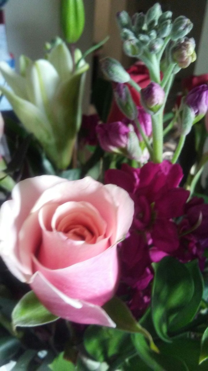 I love fresh flowers