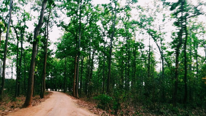 Greenway