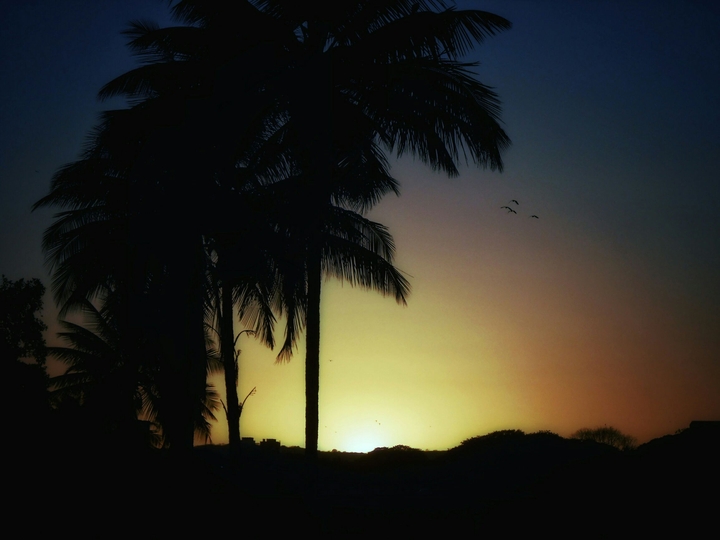 Sunset 