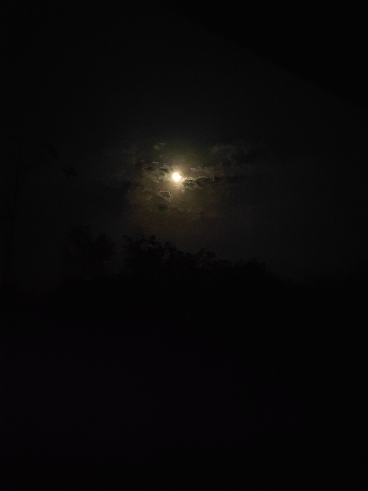 moon night