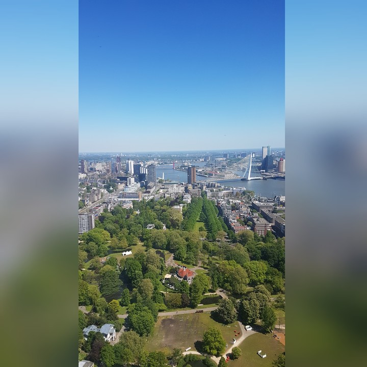 rotterdam