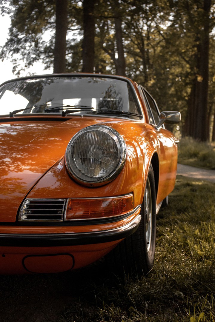 orange  ..