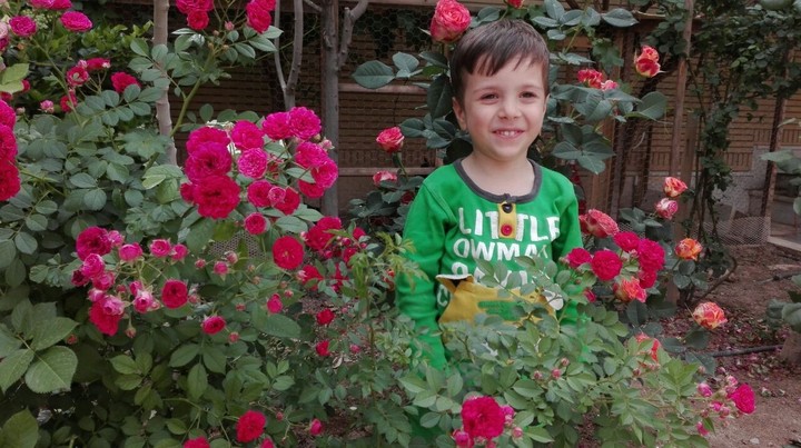 Mohammad,my grandson.