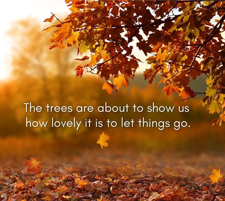 rumiquotes